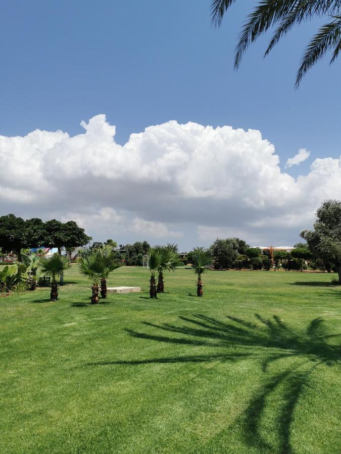 Green Apartment In Bafra Northern Cyprus Vokolidha Eksteriør bilde